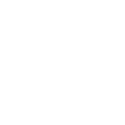 Pragmatic Play
